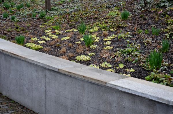 Concrete Wall Construction in Claremore